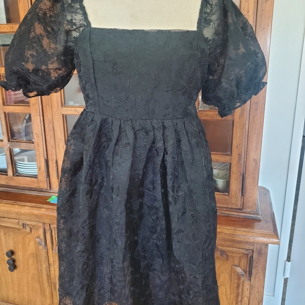 Endless Rose Elegant Black Lace Mini Dress - Picture 4 of 9